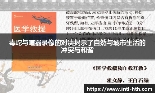 毒蛇与喧嚣录像的对决揭示了自然与城市生活的冲突与和谐